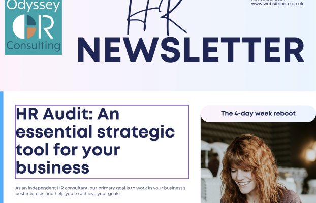 Newsletter November 2024 – HR Audit – The Essential Strategic Tool for your Business